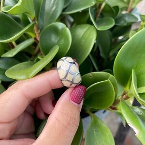 Unique Cream and Green Turtle Ring